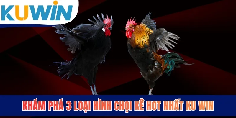 Khám phá 3 loại hình chọi kê hot nhất KUWIN