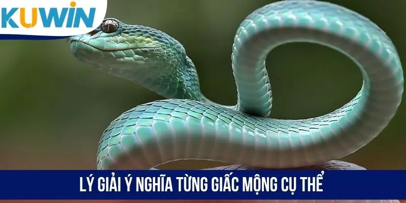 Lý giải ý nghĩa từng giấc mộng cụ thể