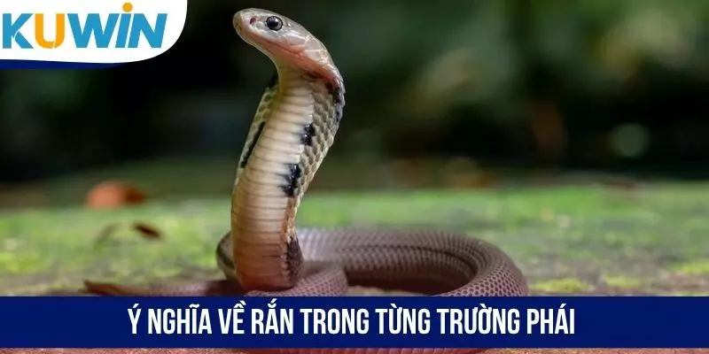 Ý nghĩa về rắn trong từng trường phái
